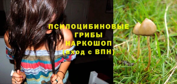 герыч Верея
