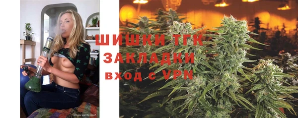 ПСИЛОЦИБИНОВЫЕ ГРИБЫ Верхний Тагил
