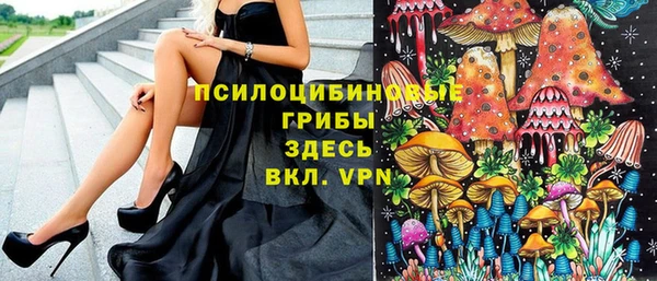 ПСИЛОЦИБИНОВЫЕ ГРИБЫ Верхний Тагил