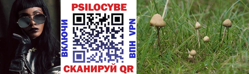 Псилоцибиновые грибы Psilocybe  Добрянка 